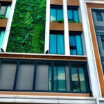 photo152 1 Paragon 31