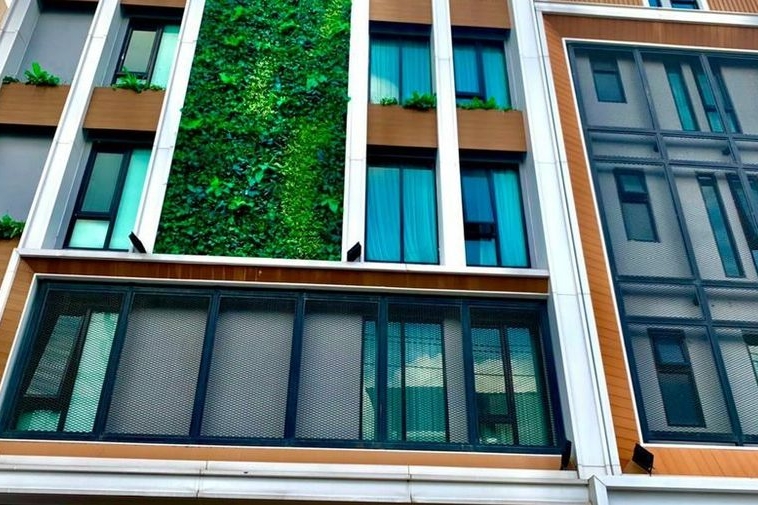 photo152 1 Paragon 31