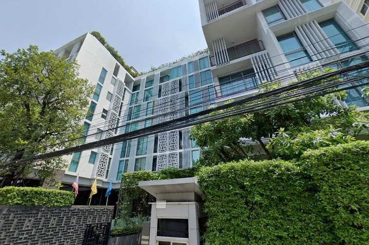 photo168 1 Siamese Thirty Nine