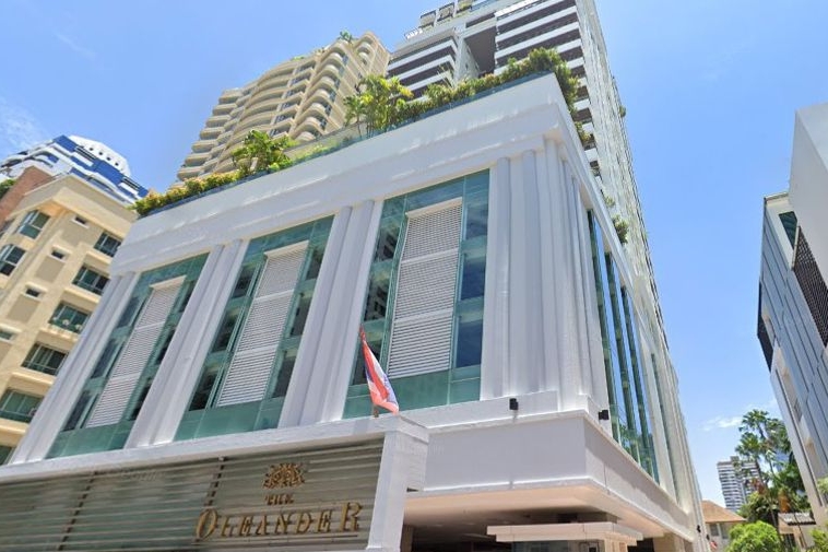 photo182 1 The Oleander