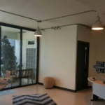 photo194 1 Tropical Garden