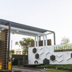 photo256 1 Lumpini Park Rama 9 - Ratchada