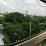 photo285 1 Tatchapol