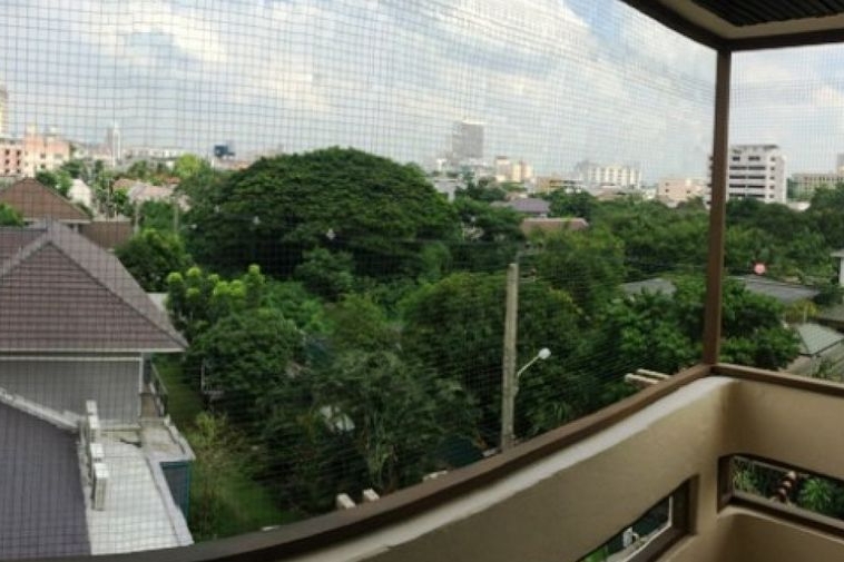 photo285 1 Tatchapol