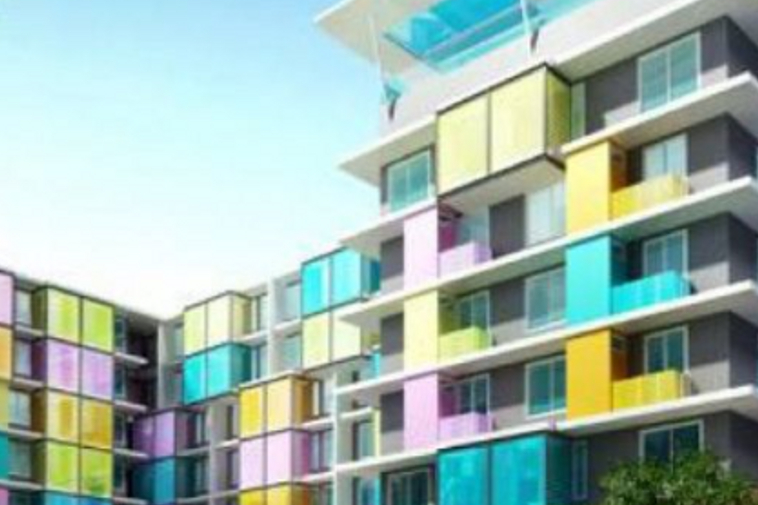 photo286 1 The Colory Vivid