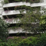 photo303 1 Anna Villa