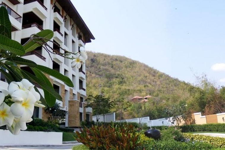 photo30 1 1 Blue Mountain