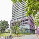 photo365 1 Noble Remix