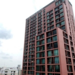 photo455 1 Noble ReD