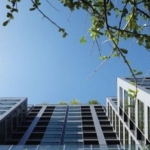 photo456 1 Noble Reflex