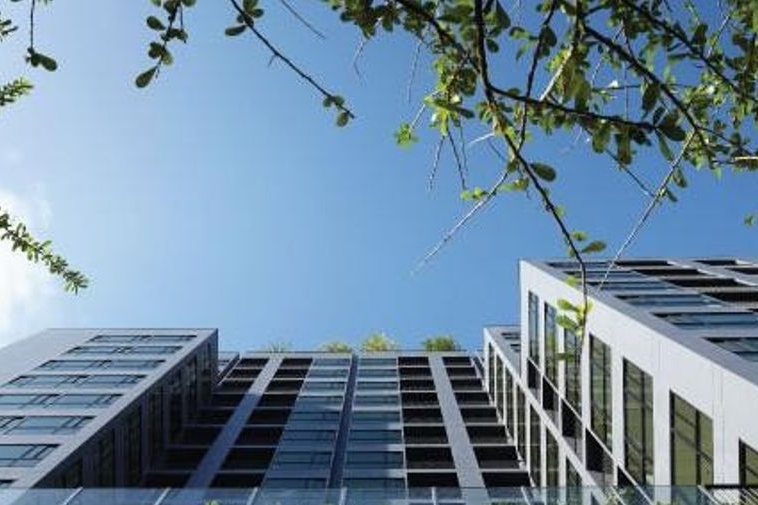 photo456 1 Noble Reflex