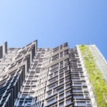 photo476 1 Siamese Ratchakru