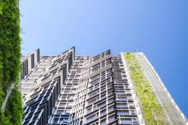 photo476 1 Siamese Ratchakru