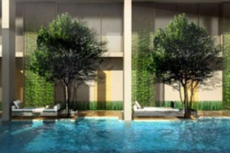 photo483 1 THE REMARKABLE AREE-PAHOL