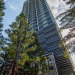 photo485 1 The Editor Saphan Khwai