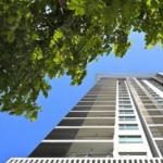 photo492 1 The Room Ari