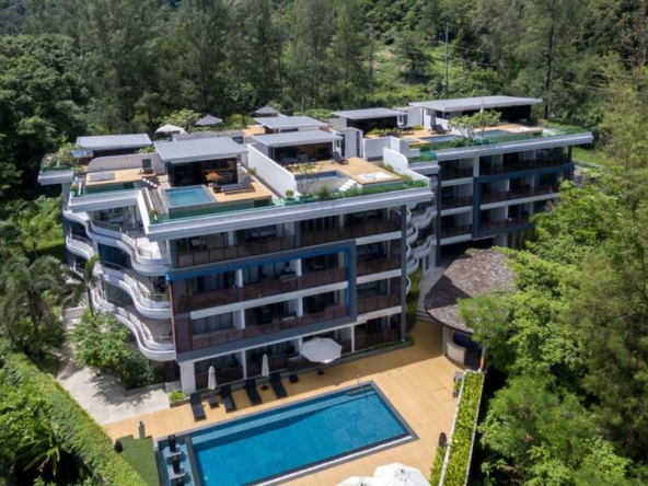 photo686 1 Nakalay Palm