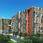 photo722 1 The Emerald City Life