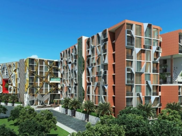 photo722 1 The Emerald City Life