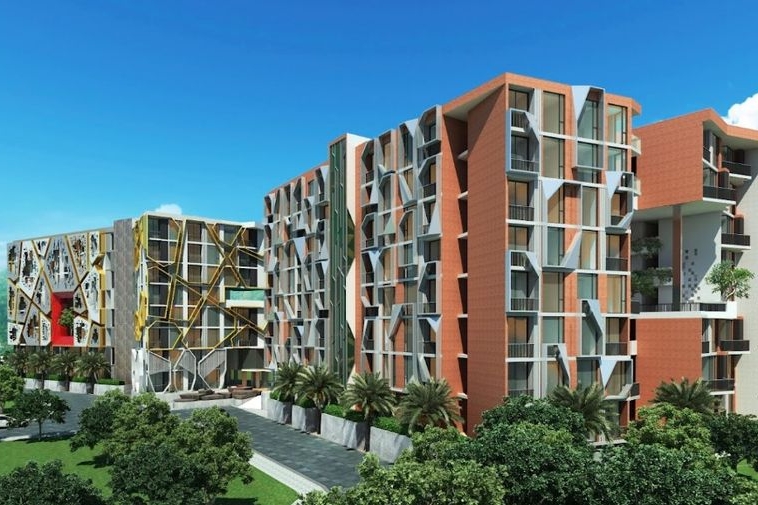 photo722 1 The Emerald City Life