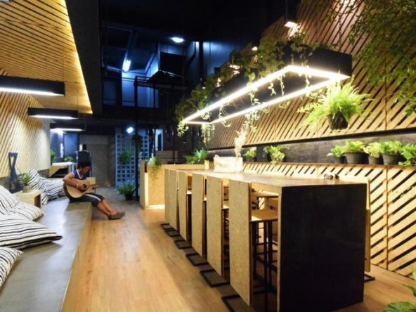 photo767 1 Hugger Guest