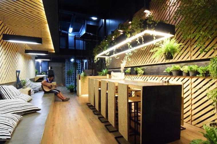 photo767 1 Hugger Guest