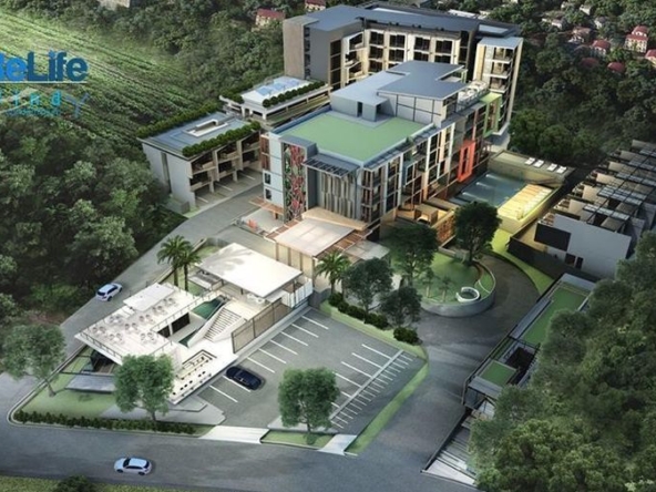 photo795 1 ReLife The Windy