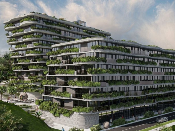 photo807 1 Sunny Moon