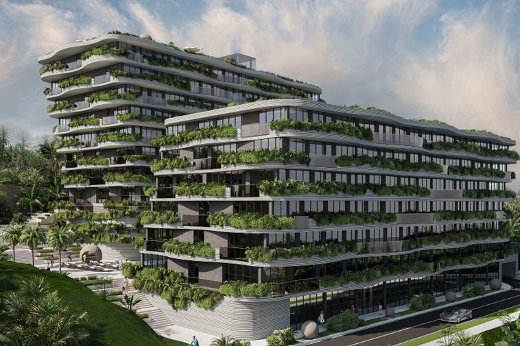 photo807 1 Sunny Moon