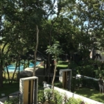 photo887 1 Forest Hill