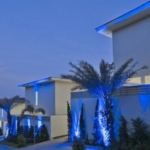 photo920 1 Samui Blue Orchid