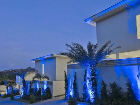 photo920 1 Samui Blue Orchid