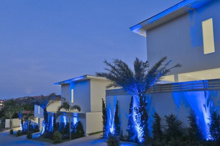 photo920 1 Samui Blue Orchid