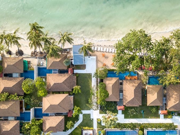 photo934 1 The Briza