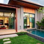 photo970 1 Brown Starling