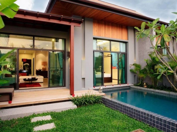 photo970 1 Brown Starling