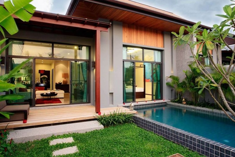 photo970 1 Brown Starling